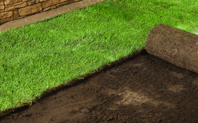 Sod Installation Services in La Vista, NE