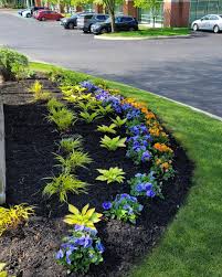 Tree & Shrub Planting project 6