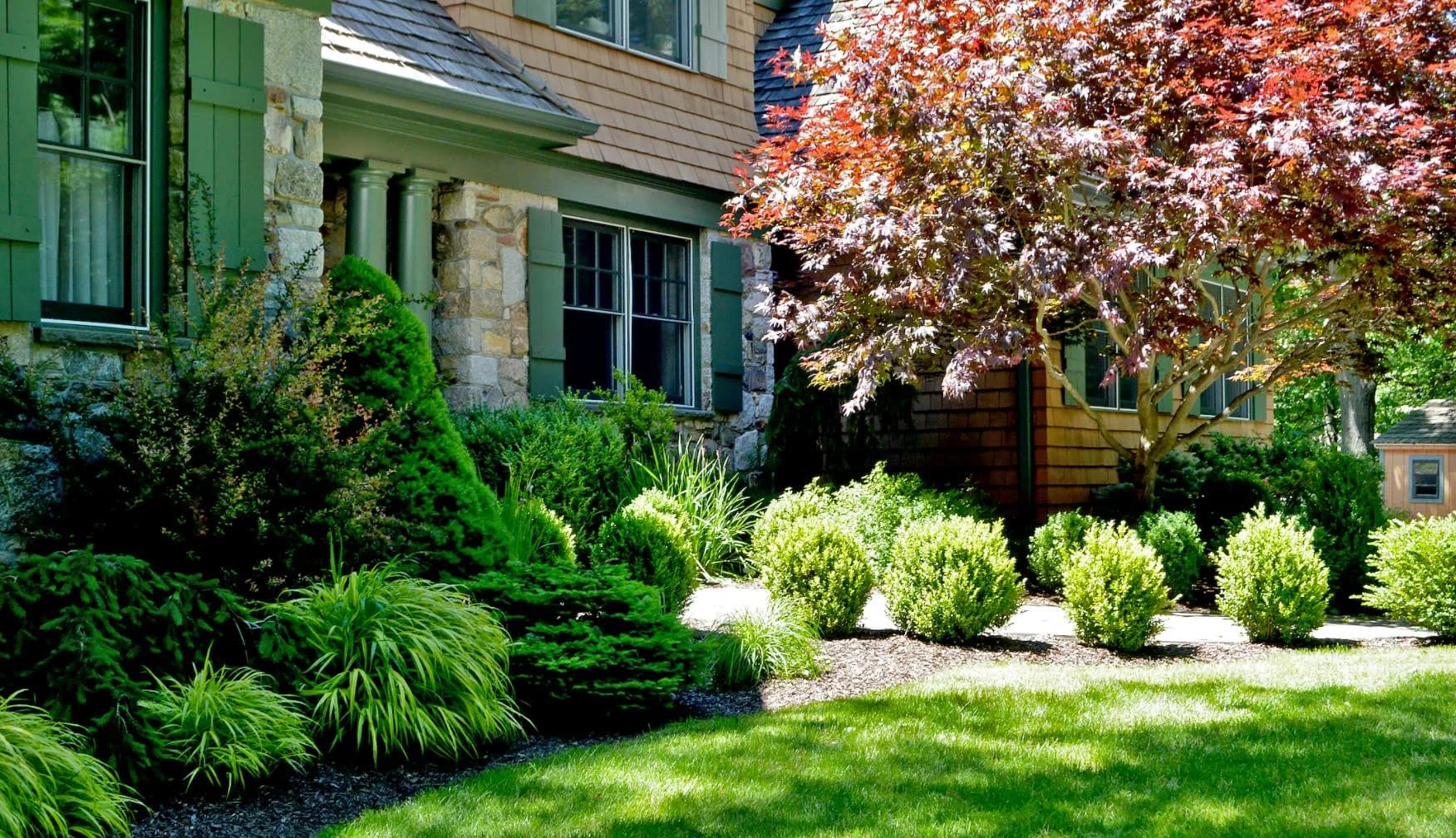 Tree & Shrub Planting Services in La Vista, NE